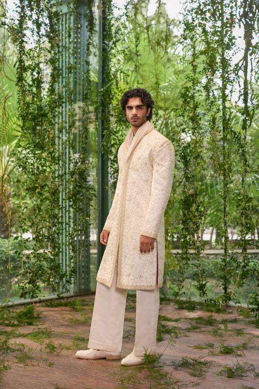 Anant - The Rising Royal Sherwani