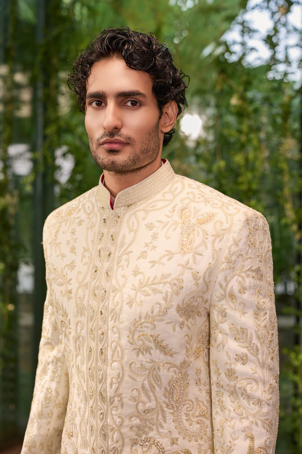 Tejas - The Regal Ivory