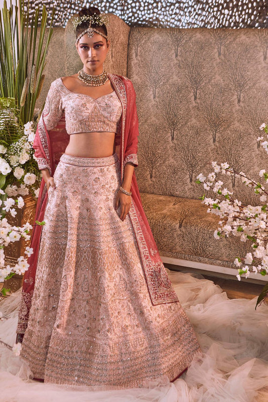 Peach Dust Lehenga Set